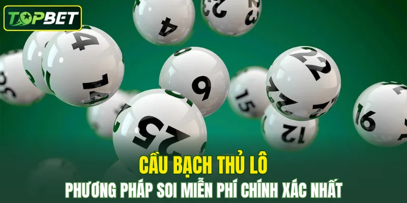 Soi Cầu Bạch Thủ Lô Chuẩn Từ Cao Thủ – Tăng Tỷ Lệ Ăn Đậm